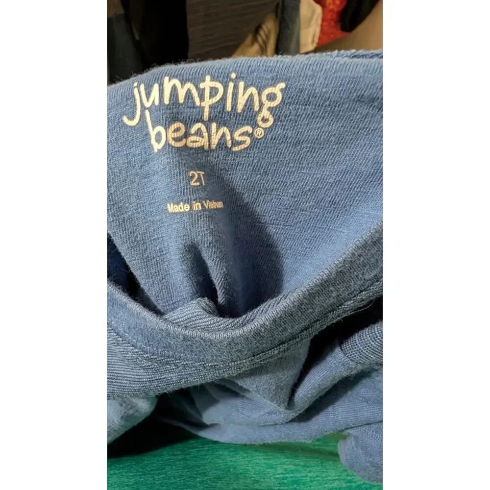 Boys Size 2T Outfit Jumping Beans Lizard T-shirt + Garanimals Drawstring Shorts